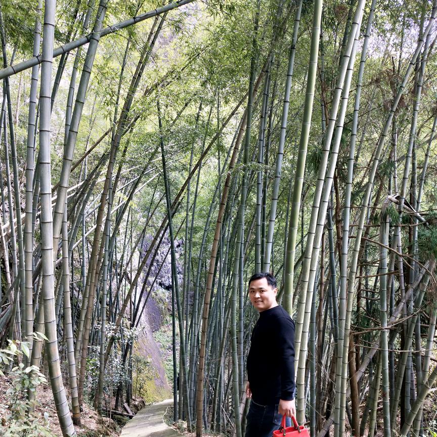 高庄集门业，全屋定制