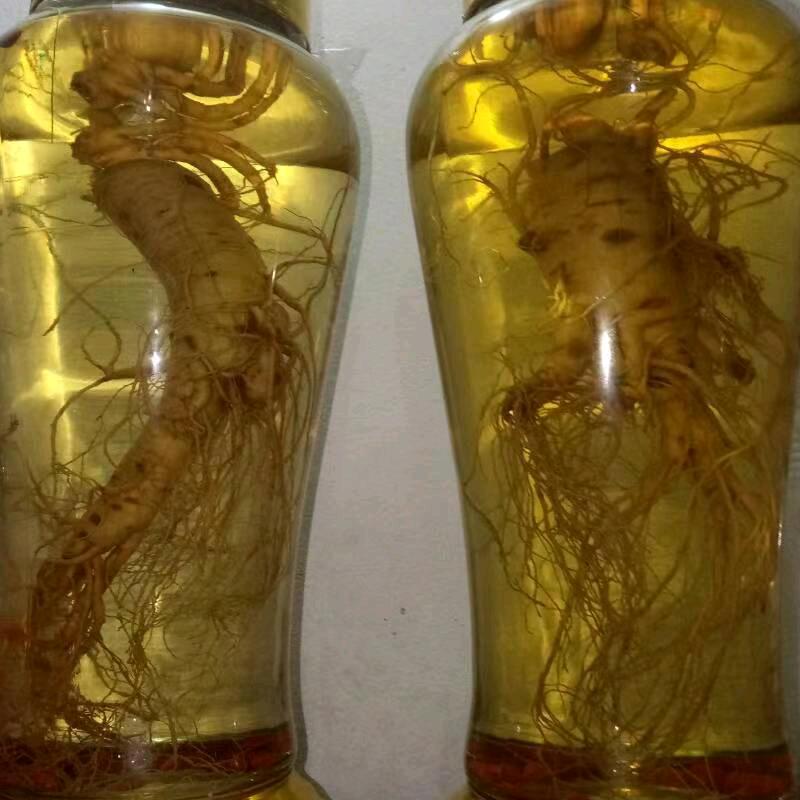 (广东)中草(药王)
