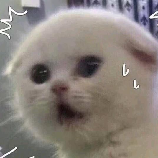 玛卡巴卡（和平精英版）@抖音