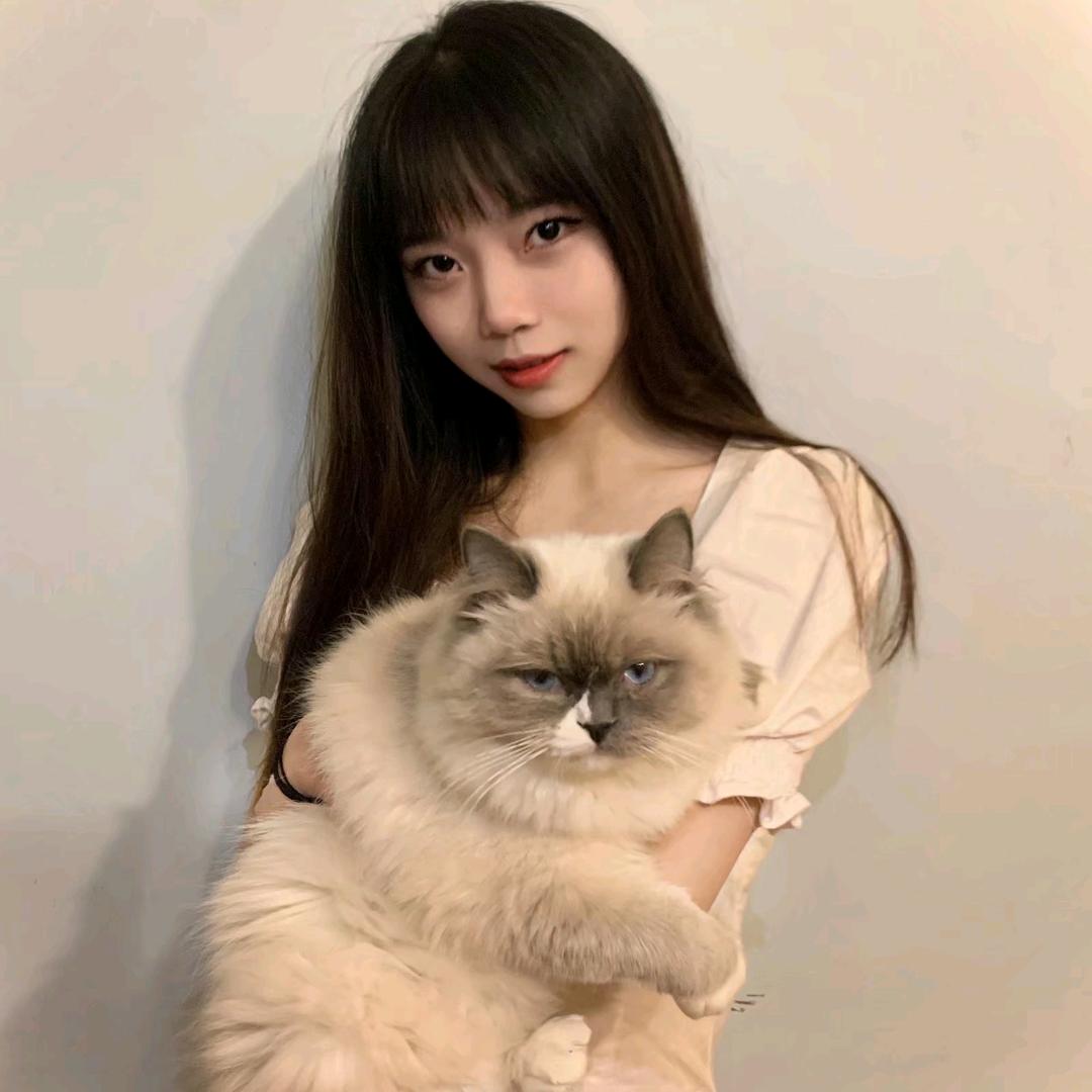 Yes头像