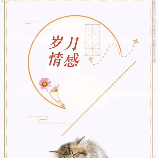 岁月情感