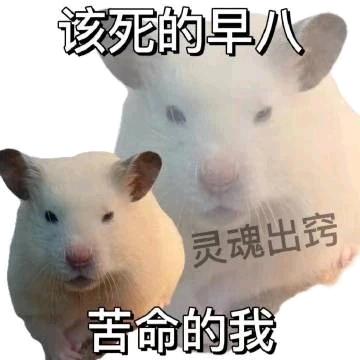 苏雾岚…