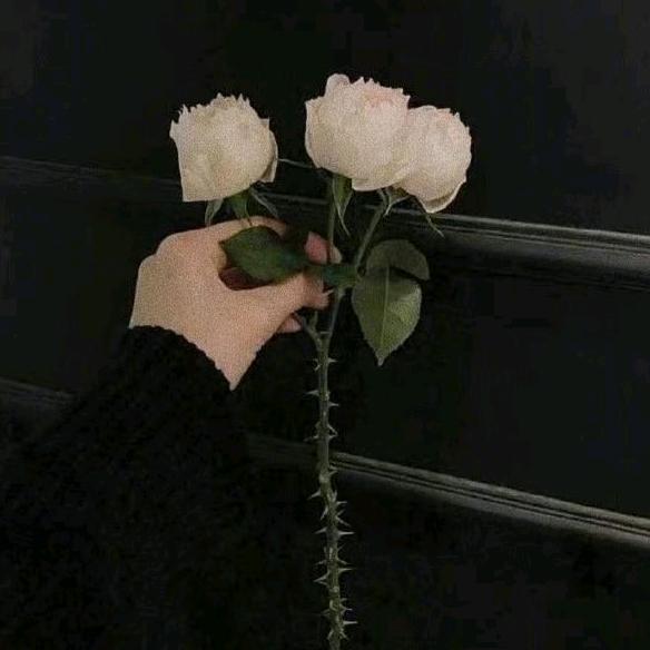 我想做宿松网红
