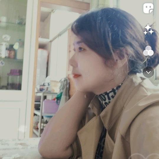 菊