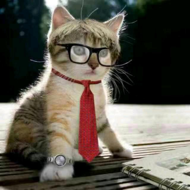 人．．·知足就好