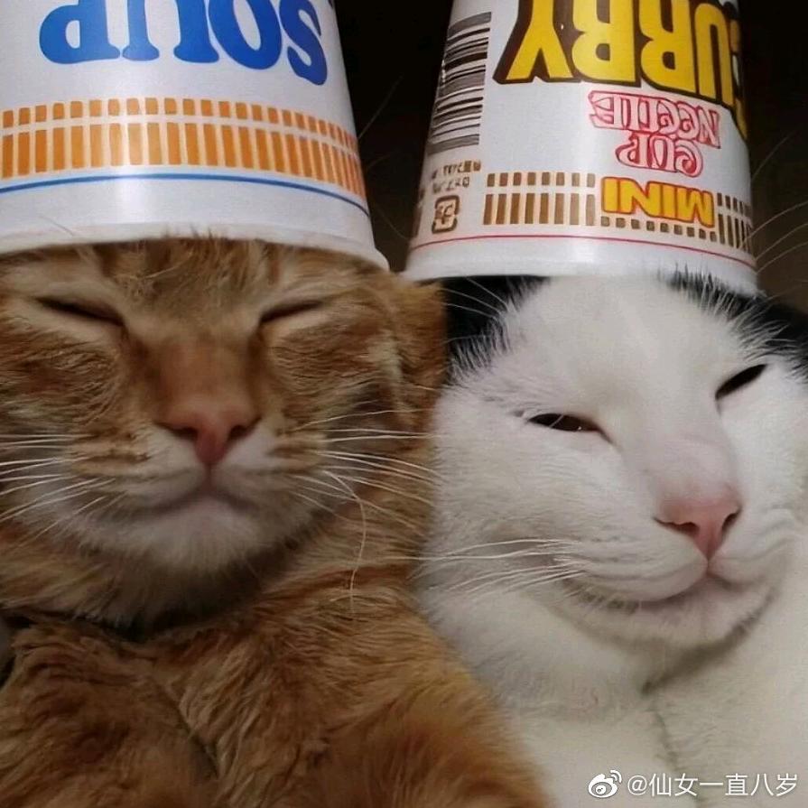 佩奇与理查德