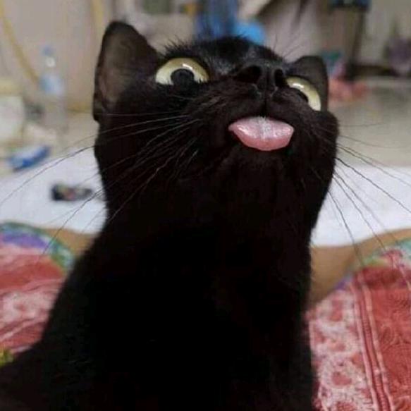 阿呆