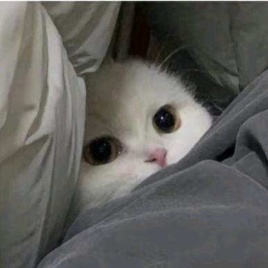！！！