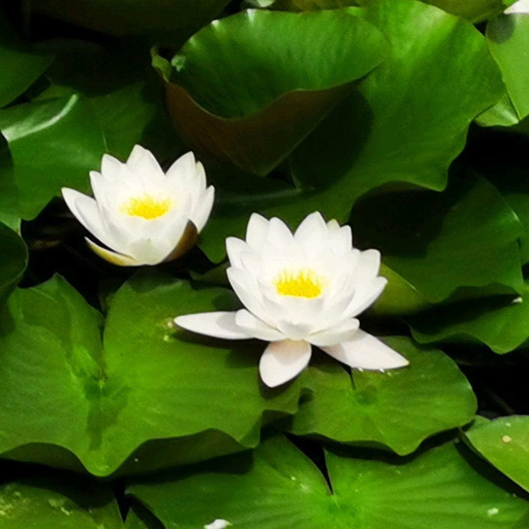 感悟