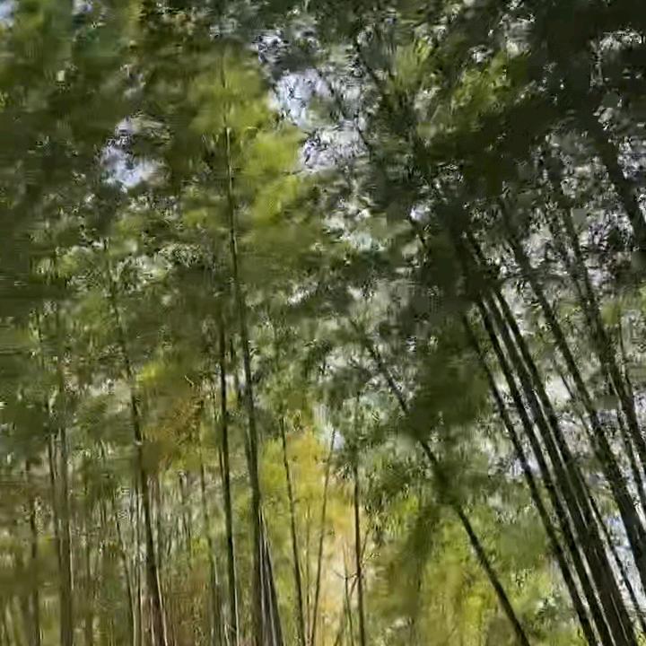 虞光强一生有你相半