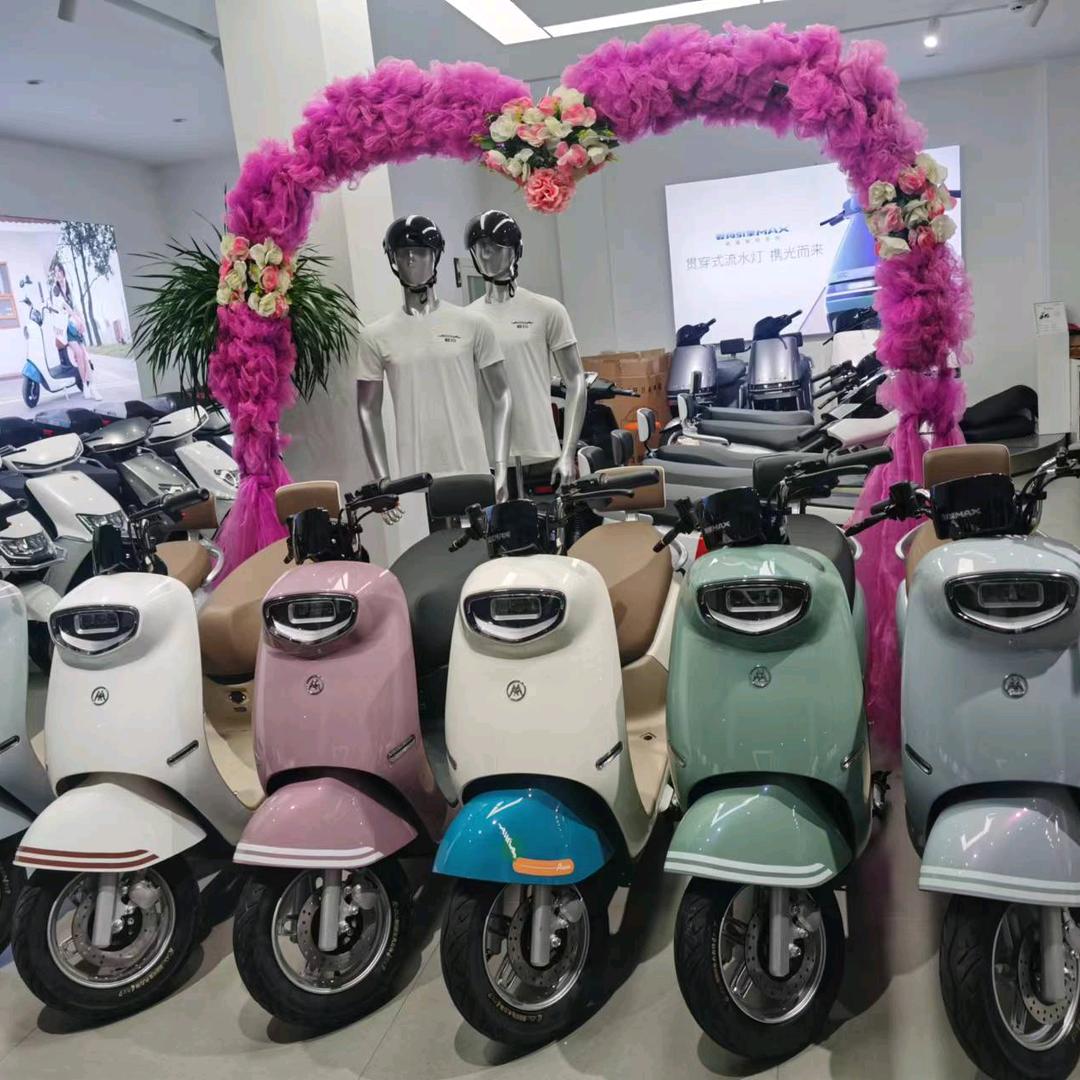 治平爱玛春建车行