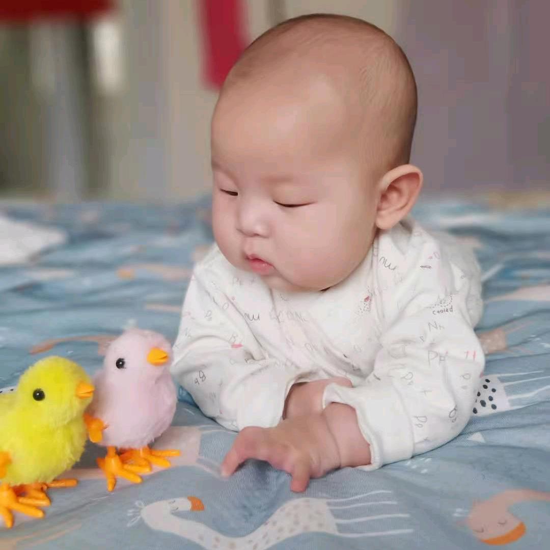 百度寻你