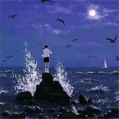 手机用户95486683576