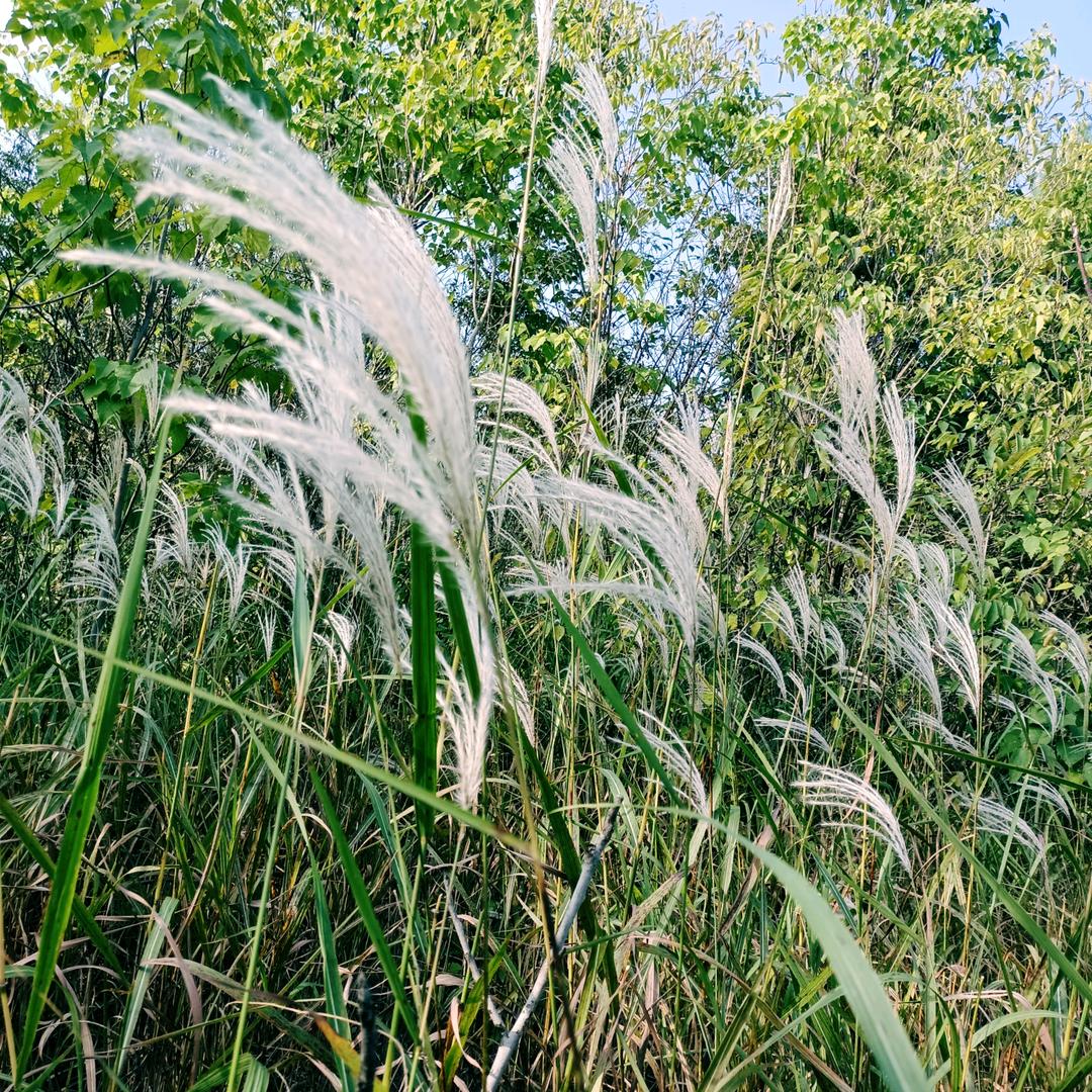 暖暖