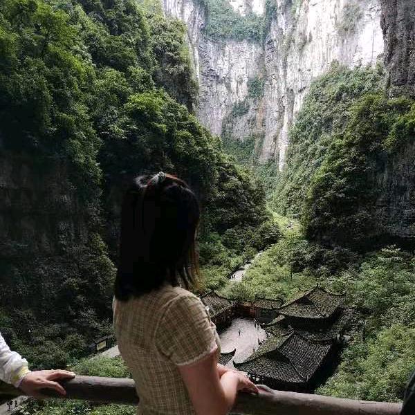 雨荷
