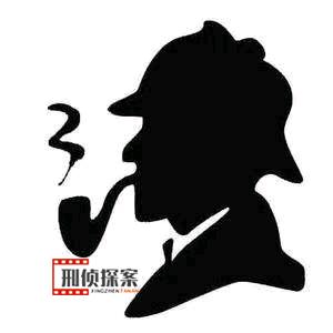 刑侦探案