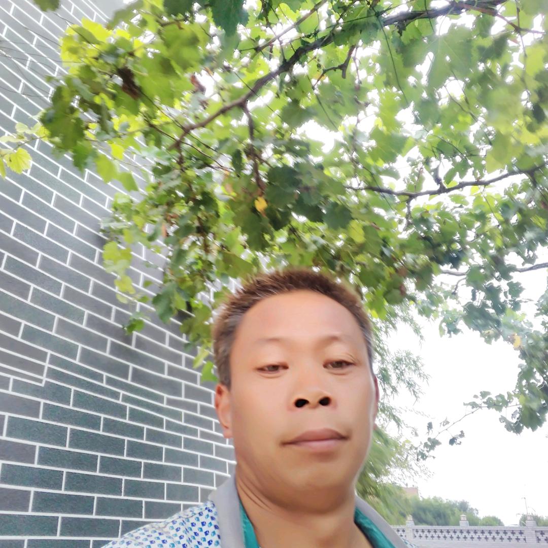 秦洪欣
