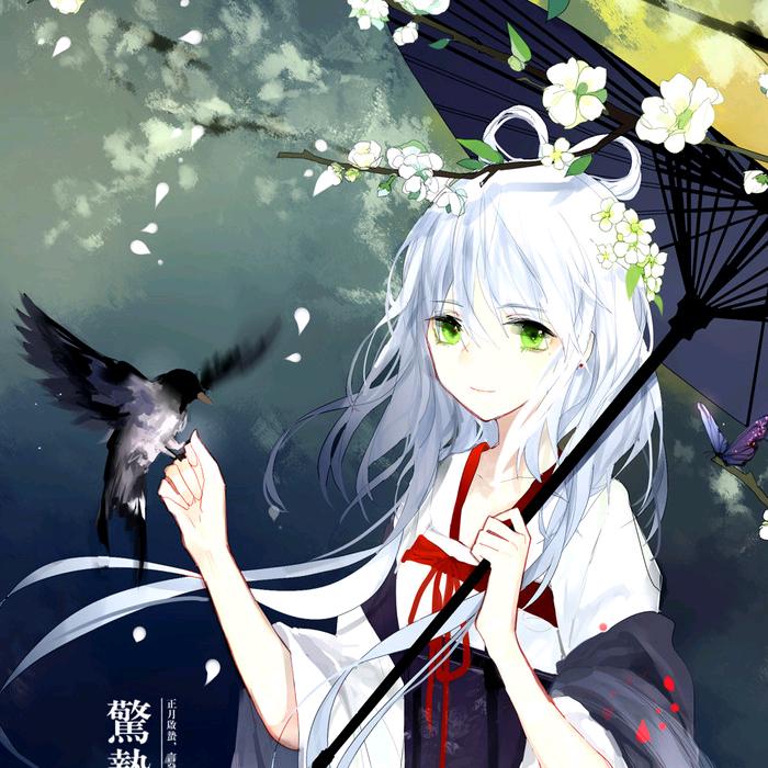 柯宇