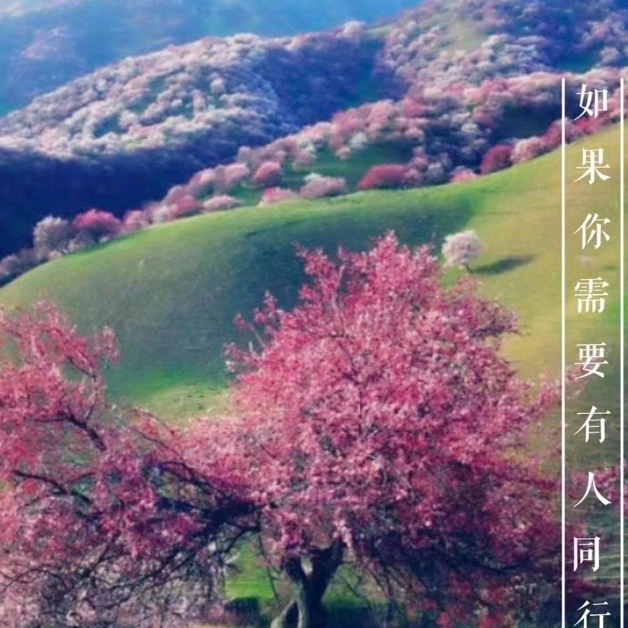 云朵奶奶♥(《拒私聊》