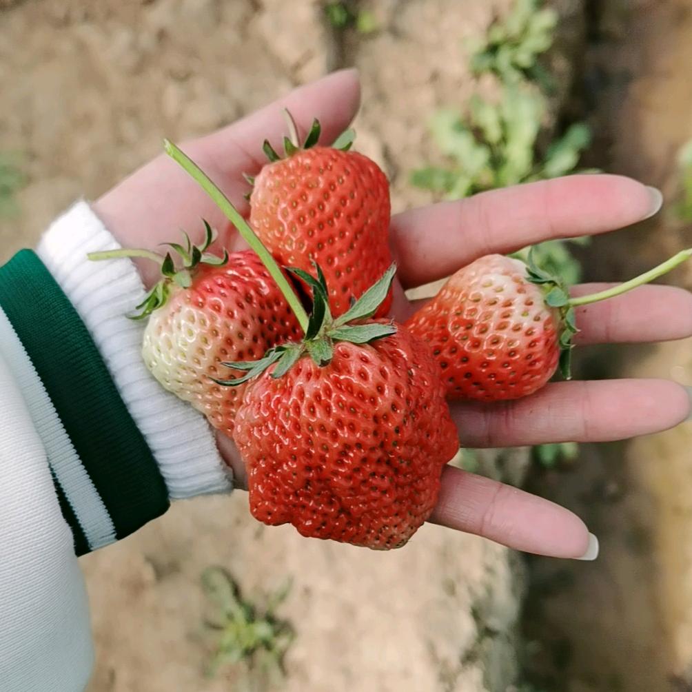 🥀久伴不如酒伴💋