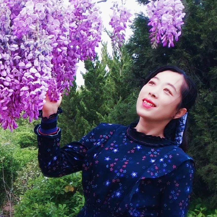 绿野仙踪