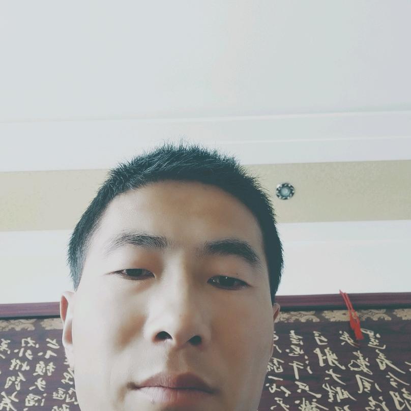 风飞