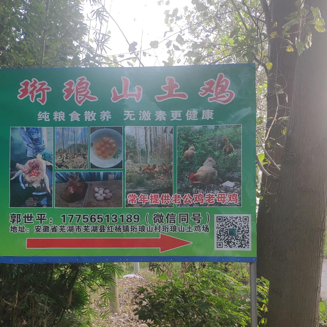 徐、