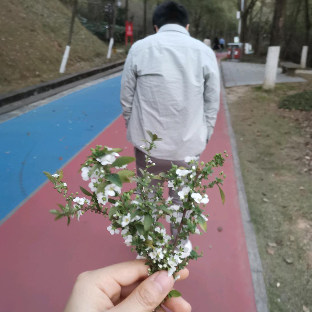 封心水泥厂厂长