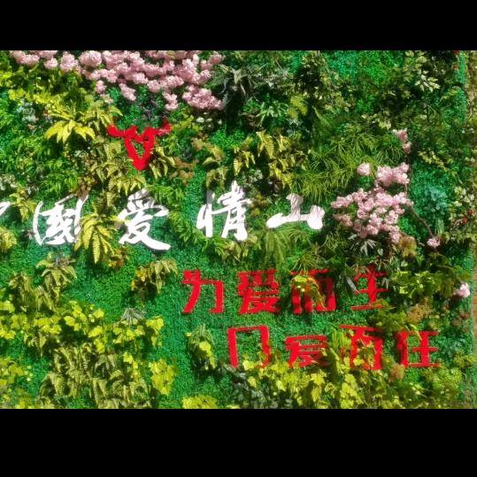 逆流成河_239424231