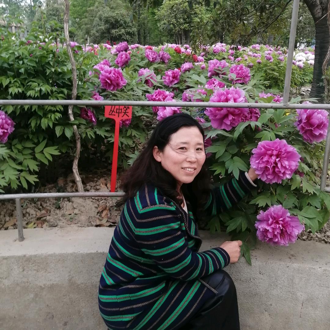 风语·