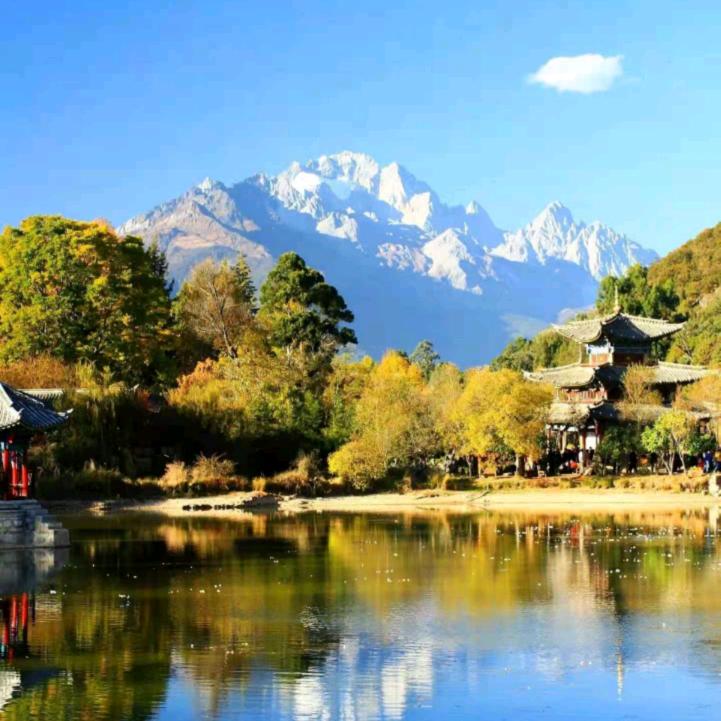 一剑封喉