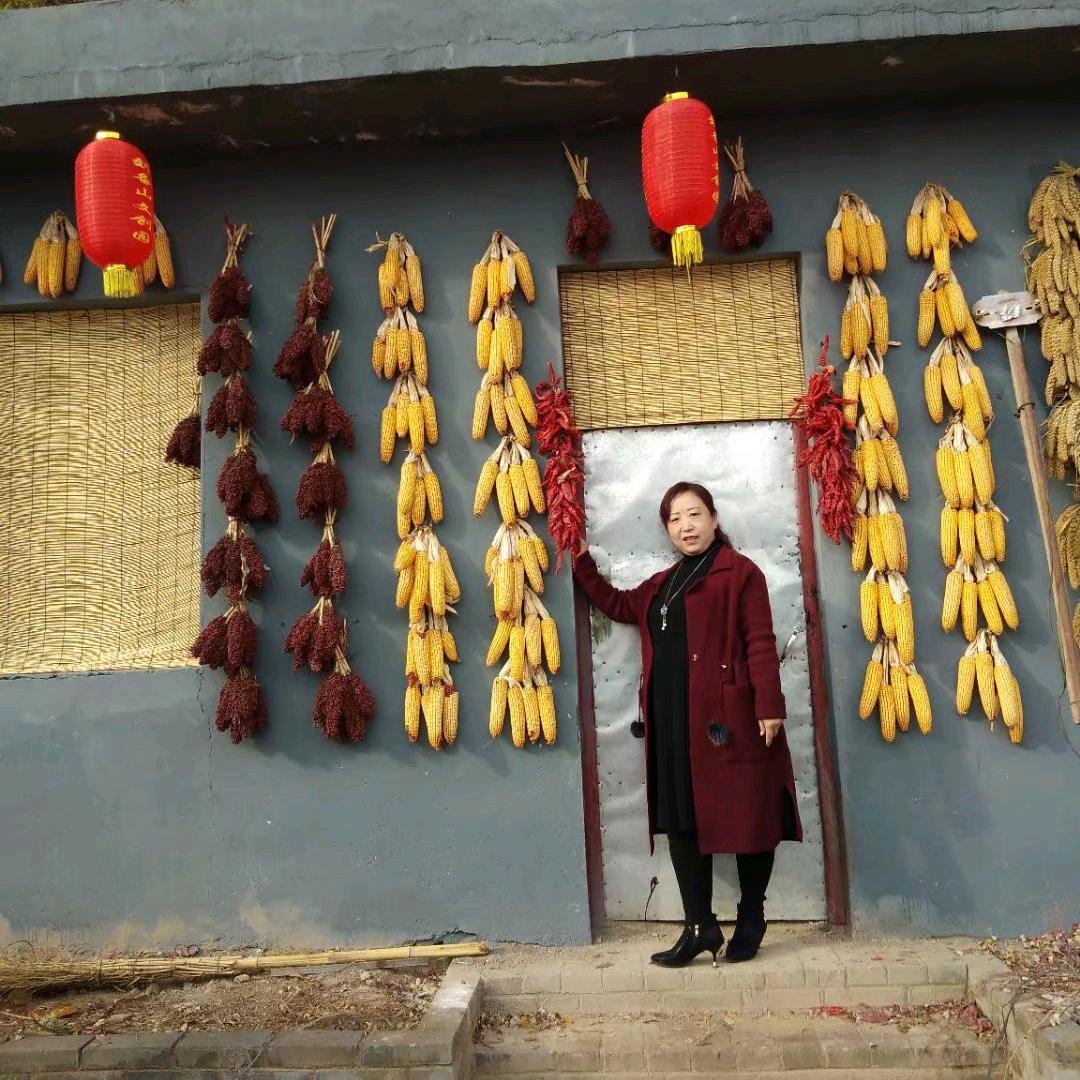 阳泉短腿姐