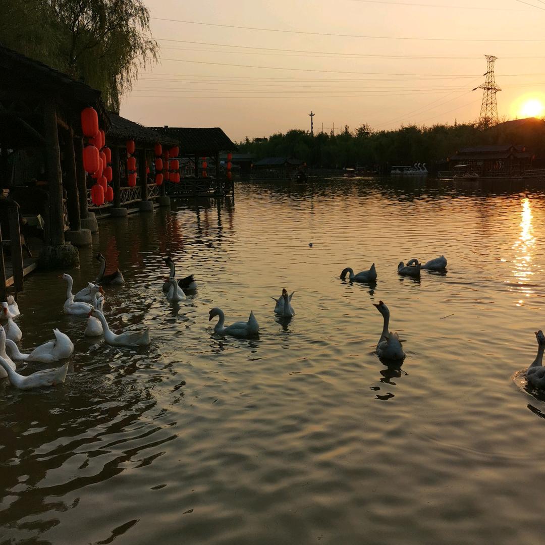 云游1