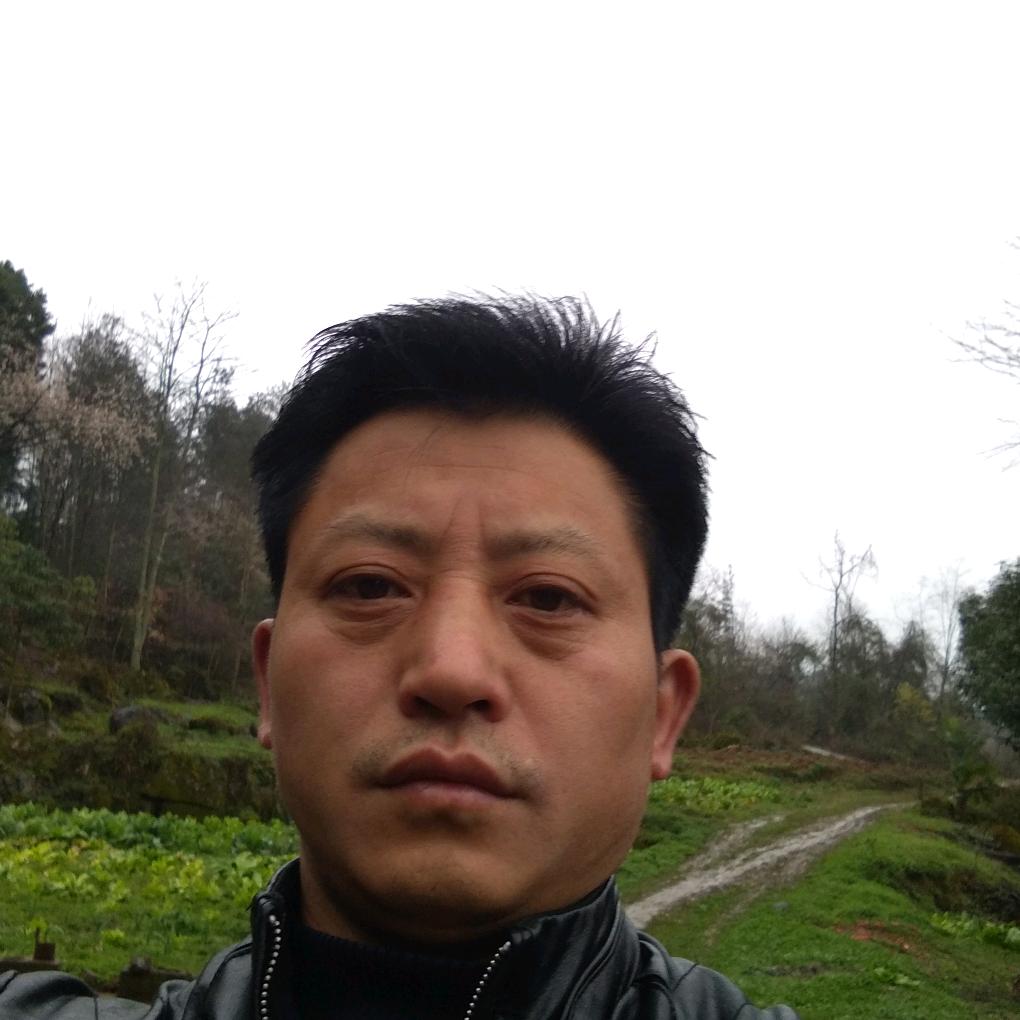 老蒋