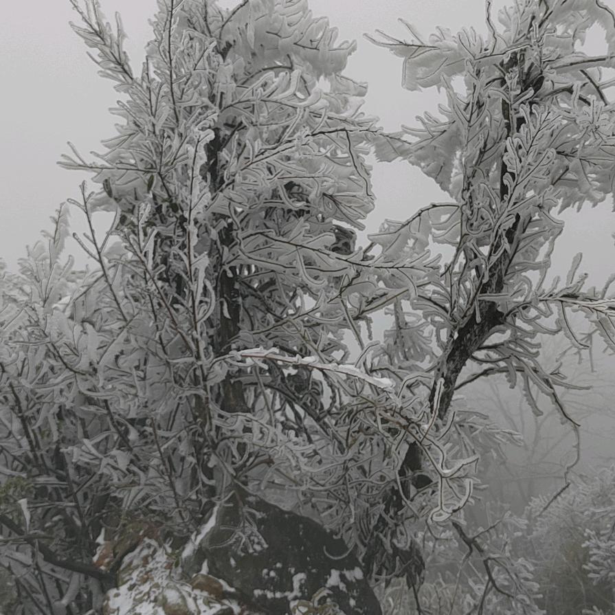 喜欢酒，半杯就倒