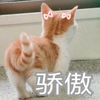 AAAA外星人居住签证代理