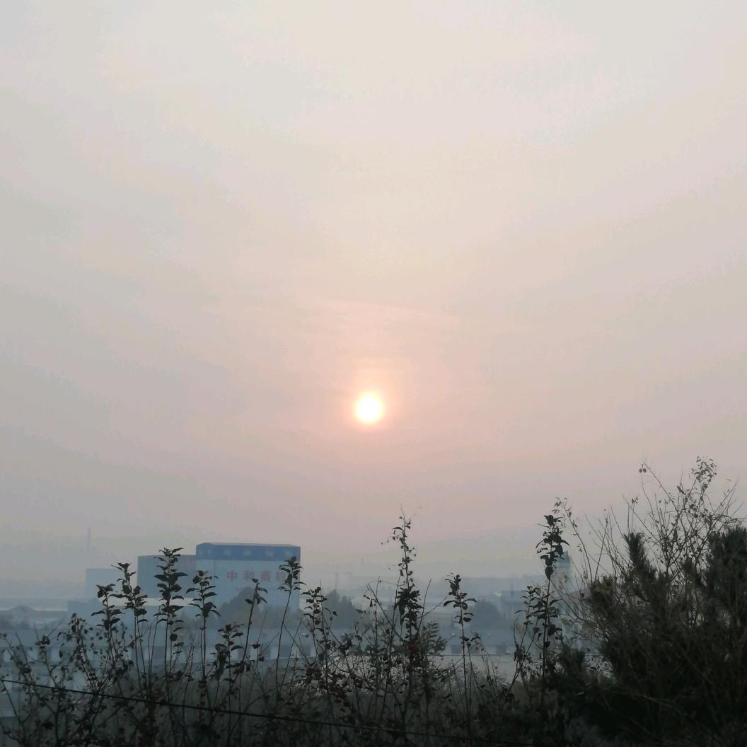 福星姐头像