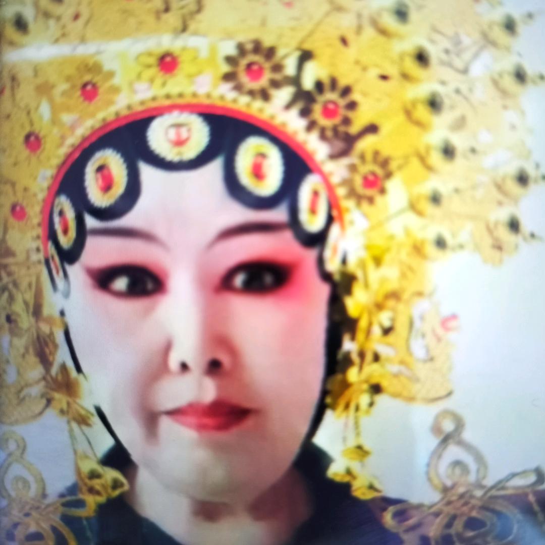 梨园戏迷《晚上八点开播》