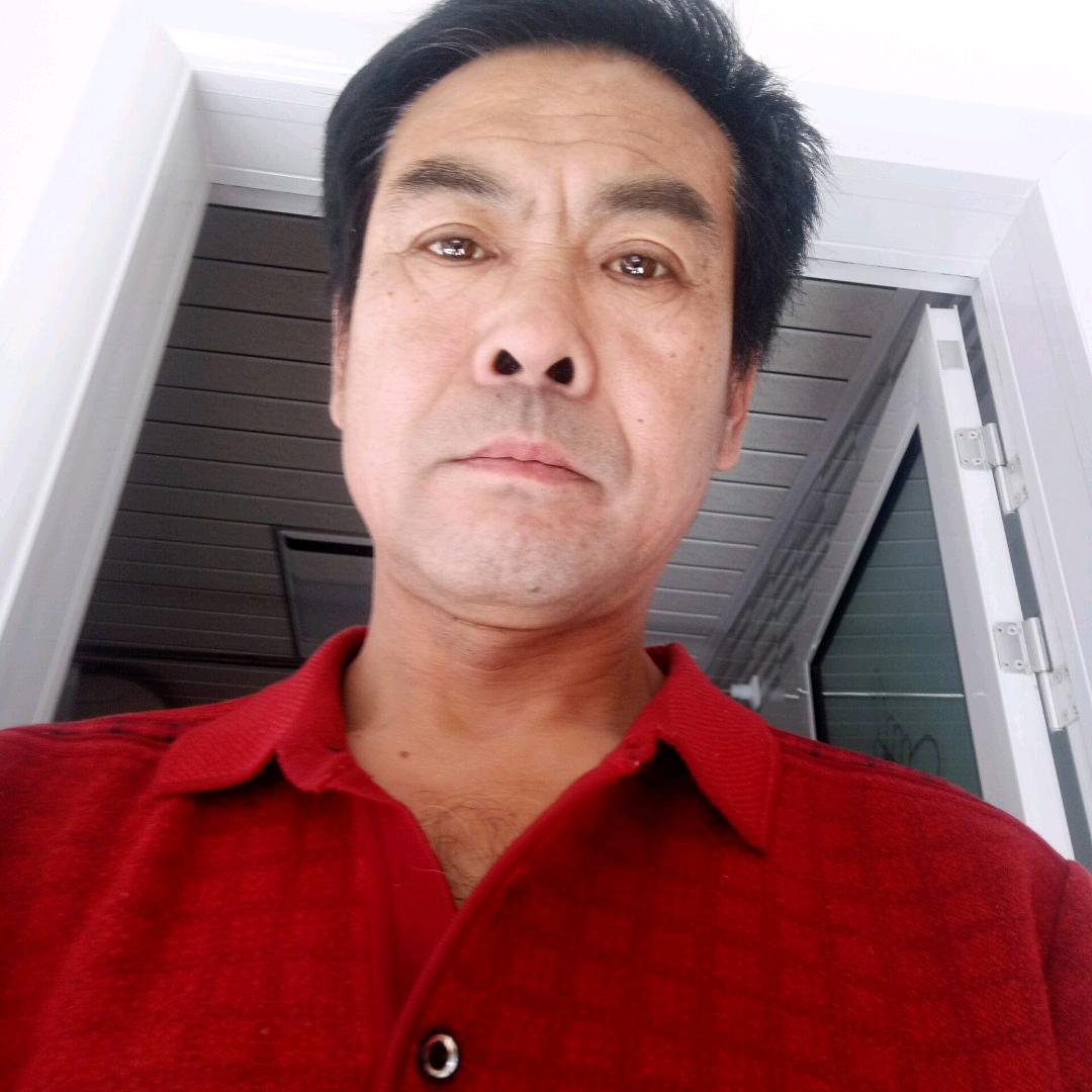 长青树