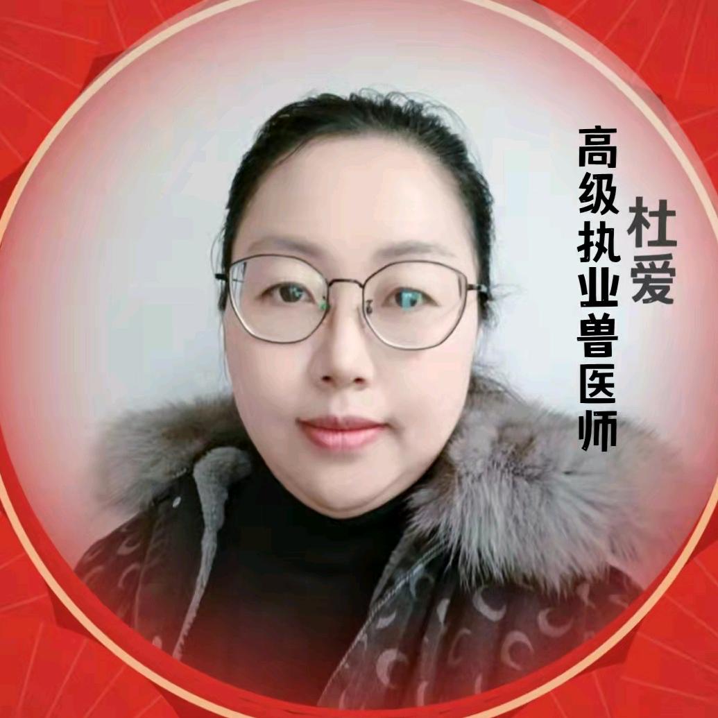 猪病兽医干货铺→杜老师