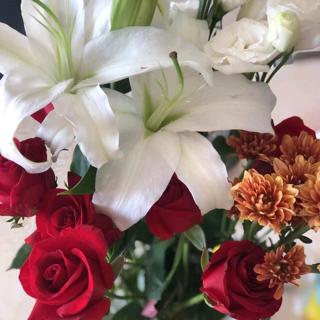 🌹守望幸福🌹