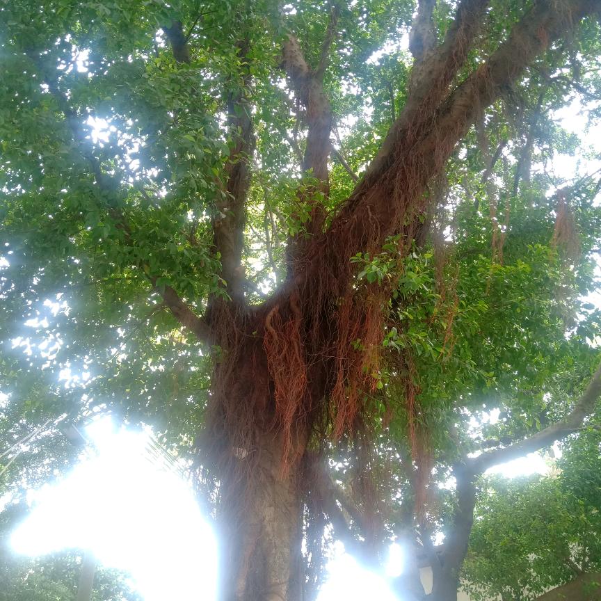 无悔一生_184627531无悔一生