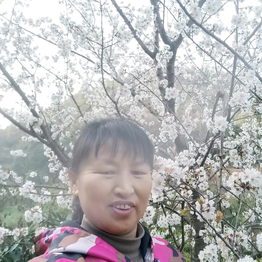 姚姐