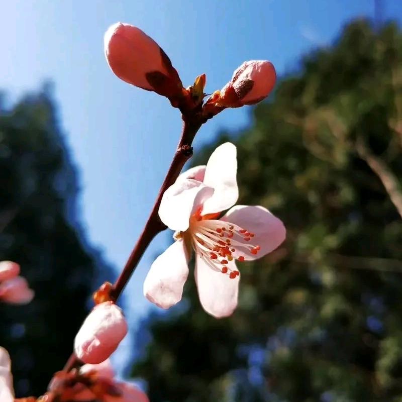 不无•禅心