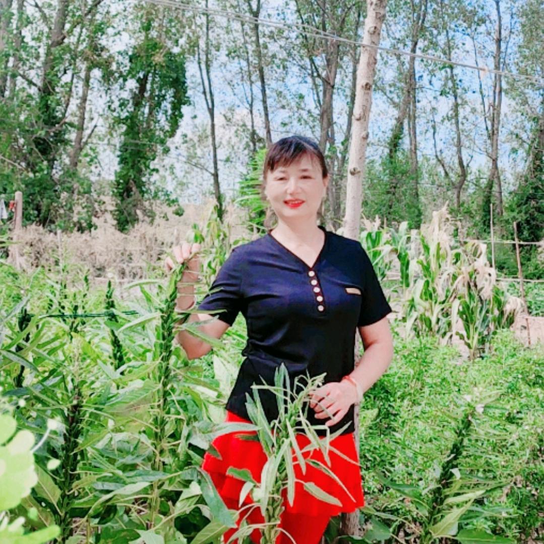 静心🌹🌹🌹
