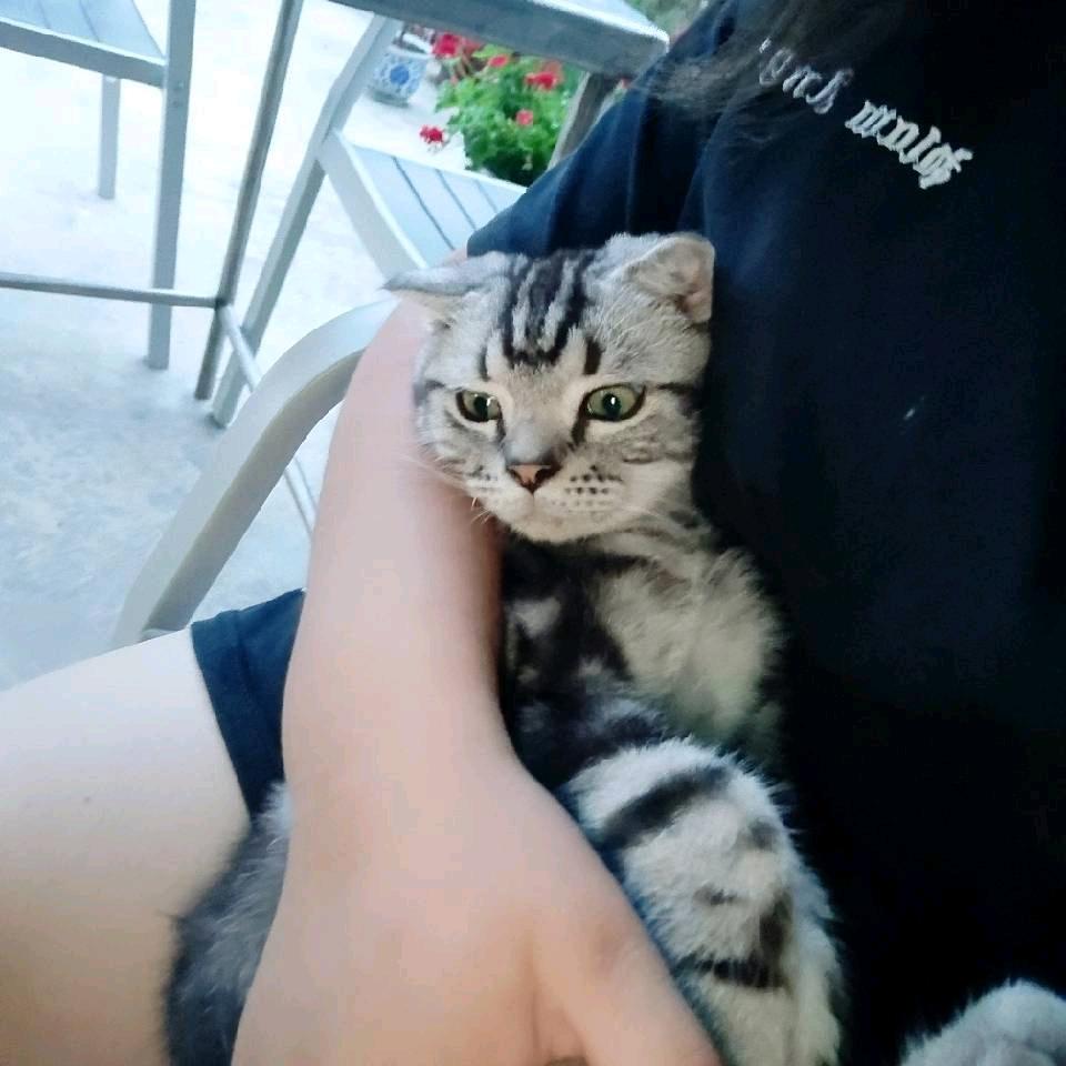 ：ღ零