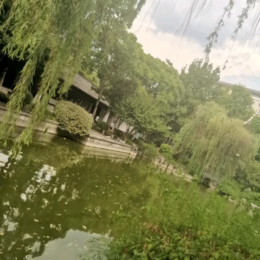 红娟（请勿连赞）