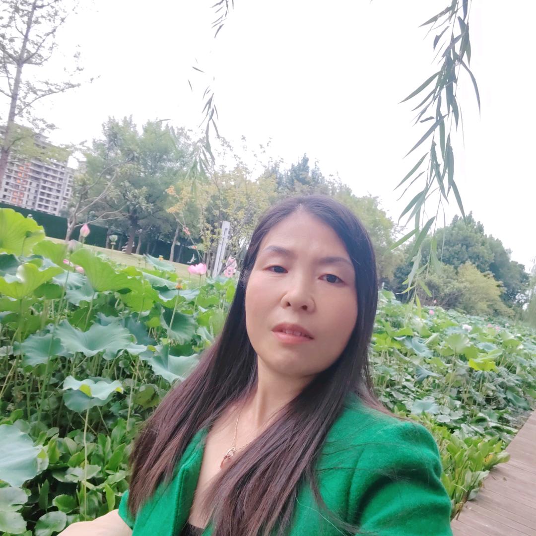 雪花飘飘