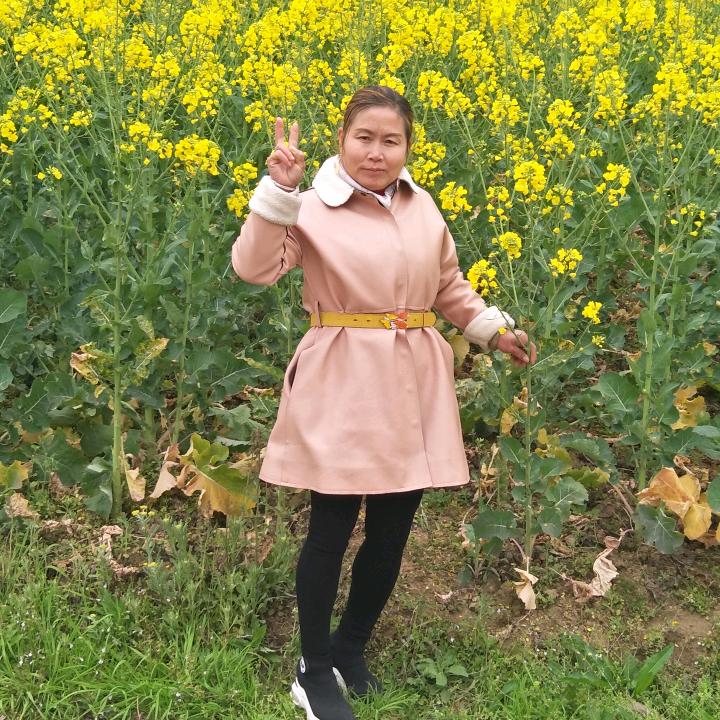 小杨梅