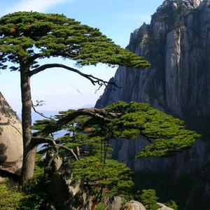 清风明月